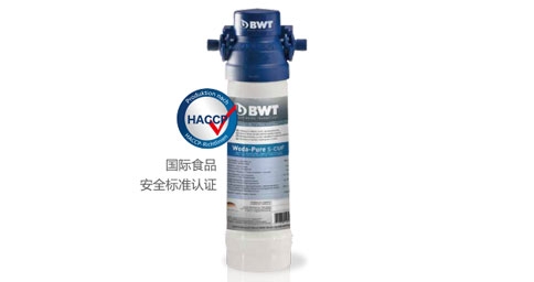 BWT Woda-Pure s超能系列麻豆国产AV国片精品器